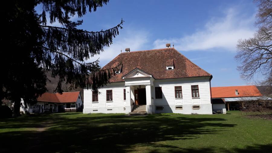 Muzeul Haszmann Pal - Conacul Domokos Gyula